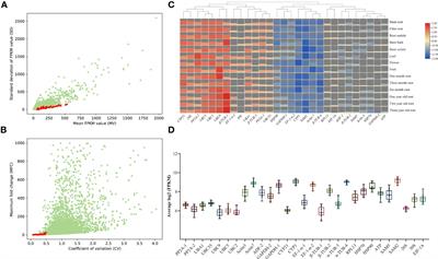 Systematic identification of reference genes for qRT-PCR of Ardisia kteniophylla A. DC under different experimental conditions and for anthocyanin-related genes studies